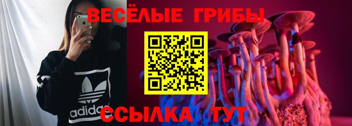 Шелехов  Галлюциногенные грибы Cubensis  Вход с VPN 